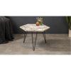 Cosmos Coffee Table