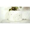 Brenda White Marble Planter