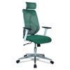 Wiweangs High Back Ergonomic Chair in Dark Green Colour