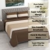 Multicolor stripes 400 Tc  Cotton Flat  Super King Size Bedsheet With 2 Pillow Cover