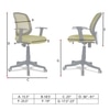 Xxeana Low Back Ergonomic Chair in Pearl Green Colour