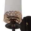 Eliante Wall Lights Mild Steel, Glass & Glass Material Brown,Gold & White Finish