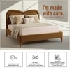 Elaris Curve Comfort Queen Size Bed in velvet With Engineer Wood Frame & Hydraulic Storage