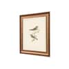 Artistry Brown Greenbirds Frame Canvas Wall Prints Canvas Wall Prints Set of 1 Multicolor Matte