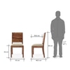 Oribi  Solid Wood Dining Chair in Teak Finish - Set of 2