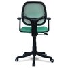 Jaazza Low Back Ergonomic Chair in Dark Green Colour