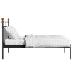 Iver Metal Non Storage King Bed in Satin Black Finish