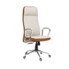 Ettorez Lexus Hb Ultra Premium Leatherette Office Chair In Cream And Tan