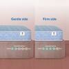 Sleepwell Dual Comfort Reversible Mattress Soft and Firm Resitec Foam Double 78x47x5 Inch