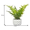 Diamon Patterned Pot With Artificial Fern