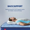 Kurlon DuoRest Essential 5 inch Single Bonded Foam Mattress (L x W: 78 inch x 35 inch)