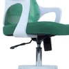 Xeanea Mid Back Ergonomic Chair in Dark Green Colour