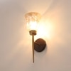 Eliante Modern Wall Lights Mild Steel, Glass & Glass Material Antique,Brown & Golden Finish