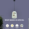 Flying Flock Glass Electric Hanging Light in White Colour