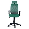 Zeeazyana High Back Ergonomic Chair in Dark Green Colour
