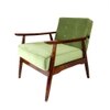 Armari Solid Wood Arm Chair in Green Color