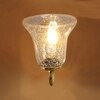 Devansh Metal Electric Wall Light in Gold Colour with Transparent Shade Count of 1 Light