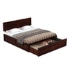 Hearti Solid Wood Queen  Size Bed Without Storage (Walnut Finish)