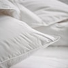Comfort Collection Low Pillow 50 X 70 cm