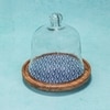 Ireka Homes Candy Cloud Acacia Wood Cake Stand with Glass Dome