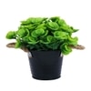 Artificial Green Eucalyptus Plant With A Rope Tied To Pot For Interior Decor