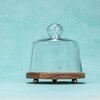 Ireka Homes Sugar Shell Acacia Wood Cake Stand with Glass Dome
