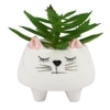 Whisker Cat Ceramic Planter