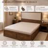AIAN Baldwin Queen Size Storage Bed with Drawers in Walnut Colour
