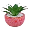 Attractive Aloe Vera Plant With Red Pebble Patterned Design Ceramic Pot