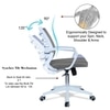 Iinea Mid Back Ergonomic Chair in Grey Colour