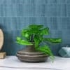 Brown Burmese Designed Ceramic Vase