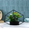 Artificial Succulent Indoor Plant With A Metal Stand