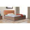 Tada Bed With Premium Leatherette Fabric And Box Storage Queen Bed