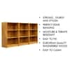 Hexa Engineered Wood Bookshelf Multipurpose Storage Rack in Giant Wood Colour