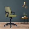 Ddeasirea Mid Back Ergonomic Chair in Pearl Green Colour