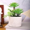 Artificial Succulent Indoor Plant With Ceramic Pot