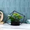 Artificial Succulent Indoor Plant With A Metal Stand