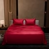 Stoa Paris Satin Bedsheet King Size with 2 Pillow Covers heet King Flirty Red