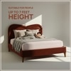Elaris Curve Comfort Queen Size Bed in velvet With Engineer Wood Frame & Hydraulic Storage