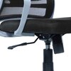 Xxeana Mid Back Ergonomic Chair in Black Colour