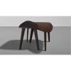 Twosome - Solid Mango Wood Coffee Table
