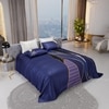 Stoa Paris Super King Size Enriched Cotton Bedsheet with 4 Pillow Covers  Size Ind Indigo