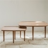 Sora Solid Wood Coffee Table in Brown Colour