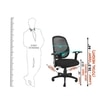 Classic Ergonomic Office Chair In Black