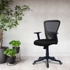 Peacifice Mid Back Ergonomic Chair in Black Colour