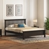 Raynor Solid Wood Queen Size Bed Without Storage (American Walnut Finish)