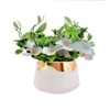 Enchanting Artificial Blue Bloom In White Planter