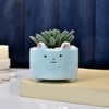 Petite Greens With Cute Cartoon Planter