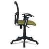 Eexcaeal Mid Back Ergonomic Chair in Pearl Green Colour