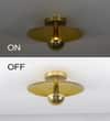 BERK Brass Finish Metal Ceiling Light